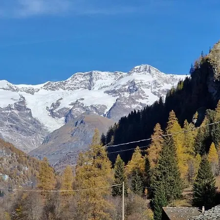 Flocon De Neige - Bluchalet *